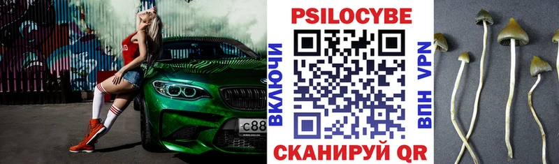 Псилоцибиновые грибы GOLDEN TEACHER  Купить где  Заволжье 